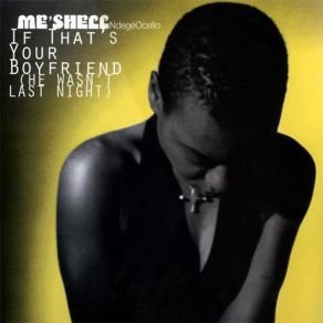 Download track If That's Your Boyfriend (He Wasn't Last Night) (The Gentrified 9. Mix) Me'Shell NdegéOcello