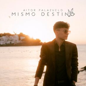 Download track Descalzo Aitor Palazuelo