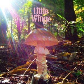 Download track You Know Who Little Wings