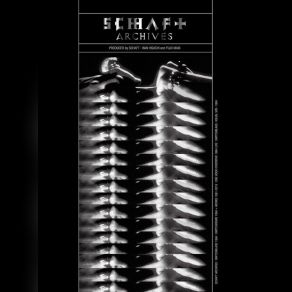 Download track Visual Cortex Schaft