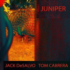 Download track Ylang Ylang Jack DeSalvo, Tom Cabrera