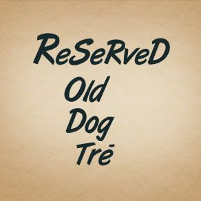 Download track Shelter From The Storm Old Dog Tre'