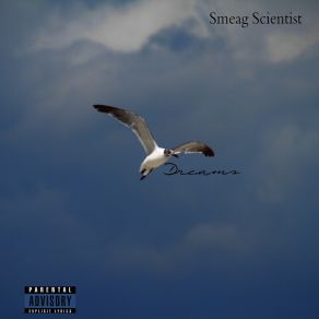 Download track Wish Smeag Scientist