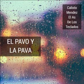 Download track El Pavo Y La Pava Calixto Mendez El As De Los Teclados