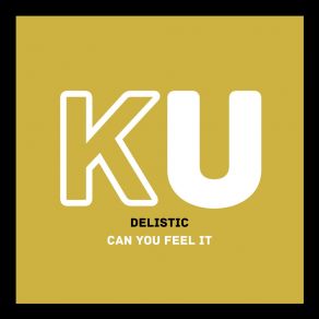 Download track Can You Feel It (Radio Edit) Delistic