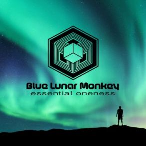 Download track Empty Your Mind Blue Lunar Monkey