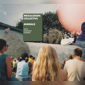 Download track On The Beach Megalodon Collective