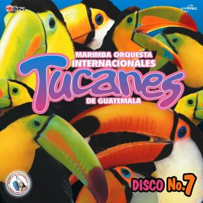 Download track Norteñas Tucaneras 7: El Otro México / Medias Negras / No Volveré Marimba Orquesta Internacionales Tucanes De Guatemala