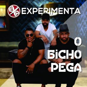 Download track O Bicho Pega Experimenta