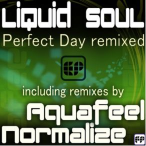 Download track Perfect Day Liquid Soul