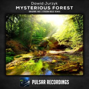 Download track Mysterious Forest (Original Mix) Dawid Jurzyk