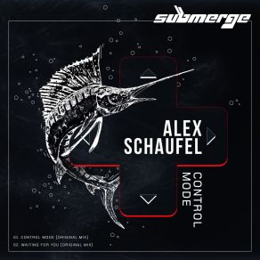 Download track Waiting For You Alex Schaufel