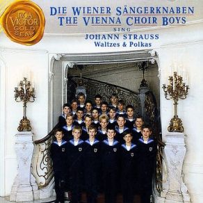 Download track 02 - Bitte Schon (Polka Francaise, Po. 372) Straus, Johann (Junior)