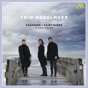 Download track Chausson: Piano Trio, Op. 3: III. Assez Lent Trio Nebelmeer