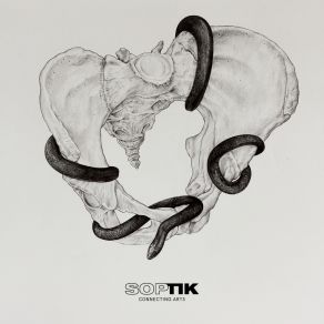 Download track Snakes And Bones III (Original Mix) Houston Stiller