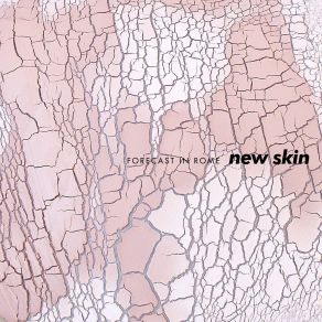 Download track New Skin Forecast In RomePhynx