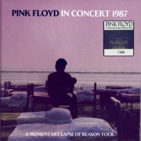 Download track Shine On You Crazy Diamond (Parts I-V) Pink Floyd