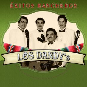 Download track No Vuelvo A Amar Los Dandy´s