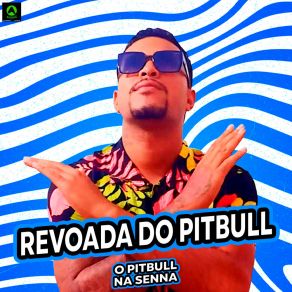 Download track Fofoqueira O Pitbull Na Senna