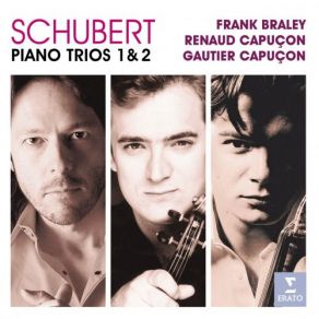 Download track Sonatensatz In B Flat Major D. 28 Renaud Capuçon, Gautier Capuçon, Frank Braley