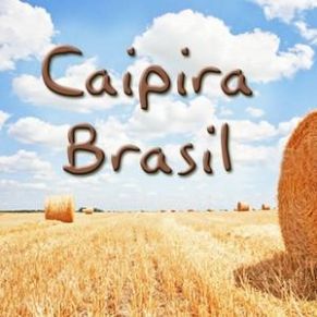 Download track Sua Majestade Tiao Carreiro Brasil Caipira