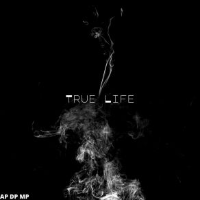 Download track True Life (Radio Edit) Toxic Skyz1