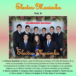 Download track Blanca Navidad Electro-Marimba