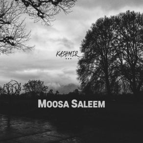 Download track Shades Of Chinar Moosa Saleem