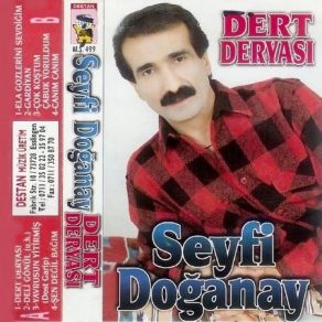 Download track Çok Konuştum Çabuk Yoruldum Seyfi Doğanay