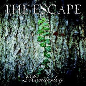 Download track This Life The Escape