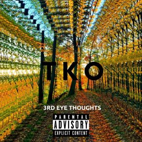 Download track Come Through TKO