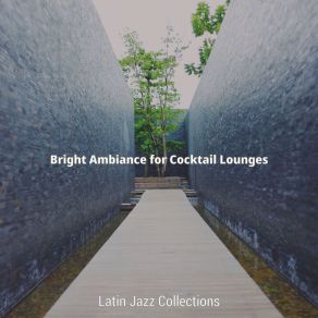 Download track Retro Backdrops For Cocktail Lounges Latin Jazz Collections