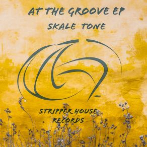 Download track At The Groove (Organ Push Mix) Skale Tone