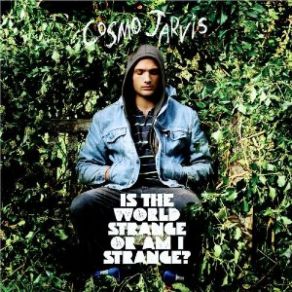 Download track Sure As Hell Not Jesus Cosmo Jarvis