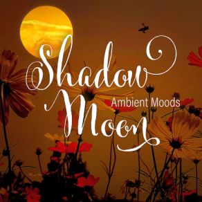 Download track Theme To An Invisible Landscape Pt. 1 Moon Shadow