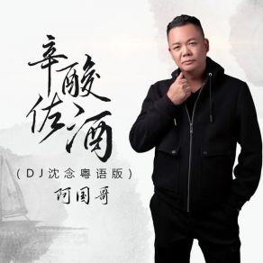 Download track 辛酸佐酒 (Dj沈念粤语版) 沈念