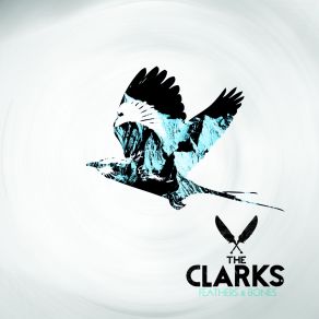 Download track Feathers And Bones (Acoustic) Clarks