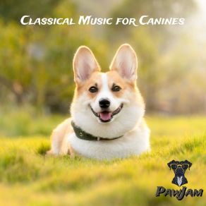 Download track Bark And Roll Suite PawJam