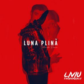 Download track Lună Plină (Manda Remix) Liviu Teodorescu