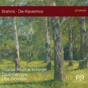 Download track Piano Trio No. 2 In C Major, Op. 87 IV. Finale. Allegro Giocoso Lilya Zilberstein, David Geringas, Thomas Albertus Irnberger