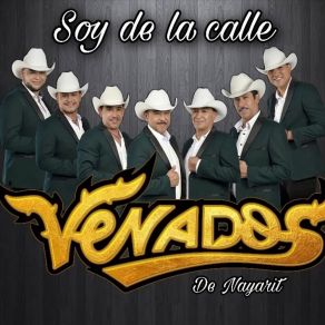 Download track Sangre De Indio Venados De Nayarit