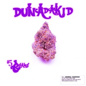 Download track Snowball Duna Da KidSk