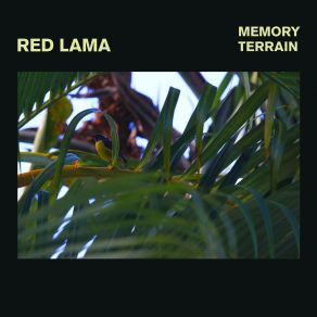 Download track Shaking My Bones Red Lama