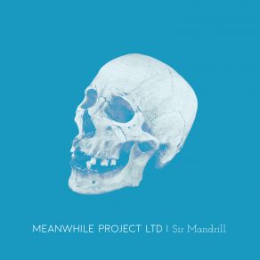 Download track Sir Mandrill Meanwhile Project Ltd