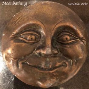 Download track Me And Mister Moon David Shaw-Parker