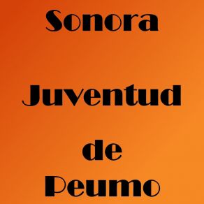 Download track Sonora Juventud (Micaela) Sonora Juventud De PeumoMicaëla