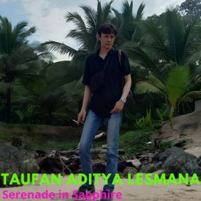 Download track Serenade Of Solitude Taufan Aditya Lesmana