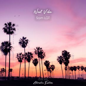 Download track Next Vibe (Chill Mix) Sam LGT