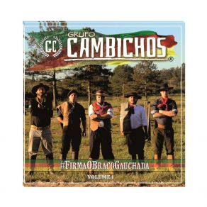 Download track Campeiro Apaixonado GRUPO CAMBICHOSVagner Dos Reis