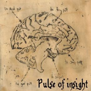 Download track Tuttavia, La Razza Umana Era Sopravvissuta Pulse Of Insight